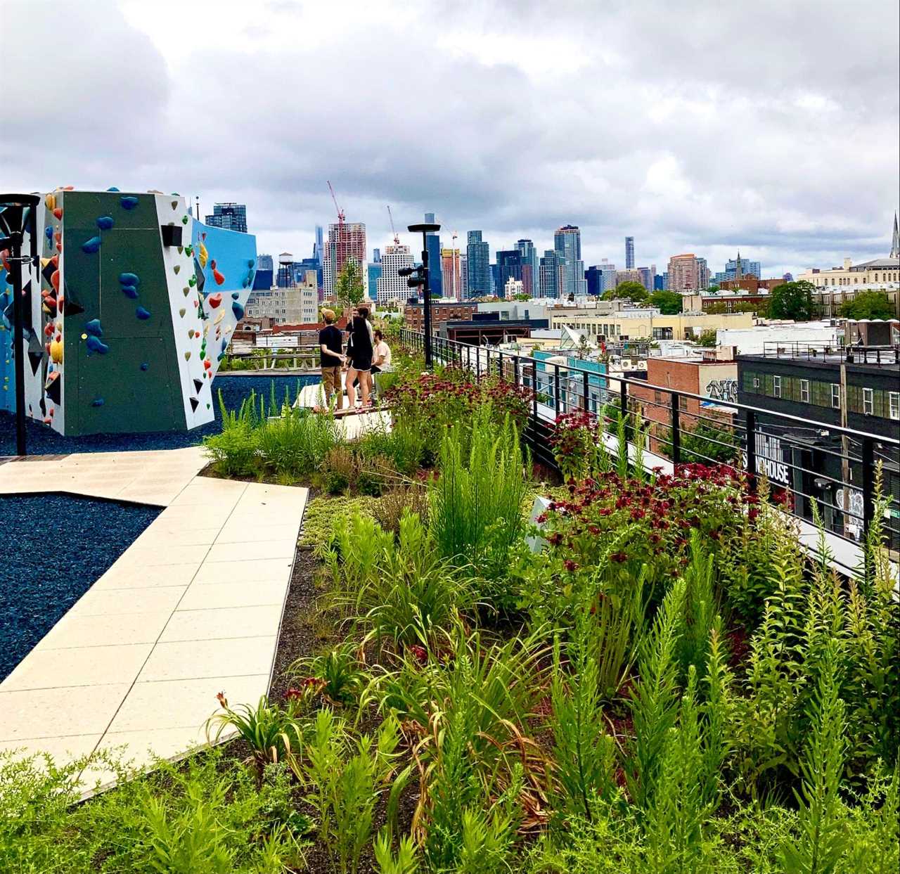 outdoor climbing board people and plants at vital gym