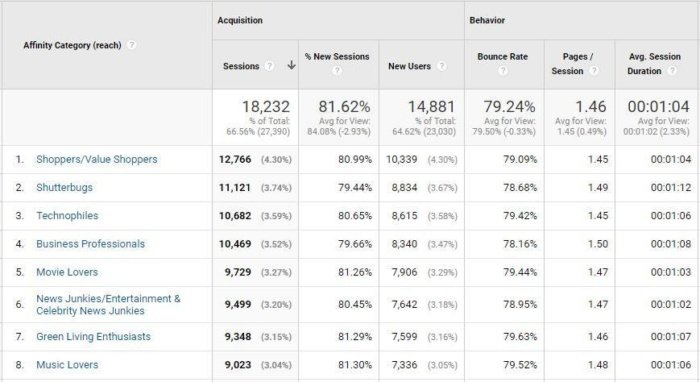 Statistics from google analytics broken into affinity categories. 