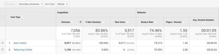 Statistics from google analytics broken into user type. 