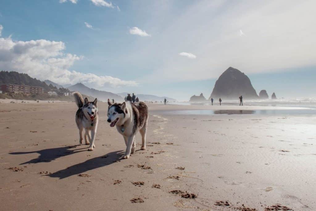 10 Best Beaches on the U.S. West Coast to Visit in September 2022