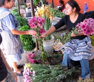 Best Places to Food Shop and Local Market Tips in Guatemala