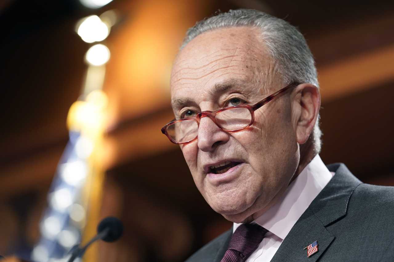 Schumer announces same-sex marriage vote