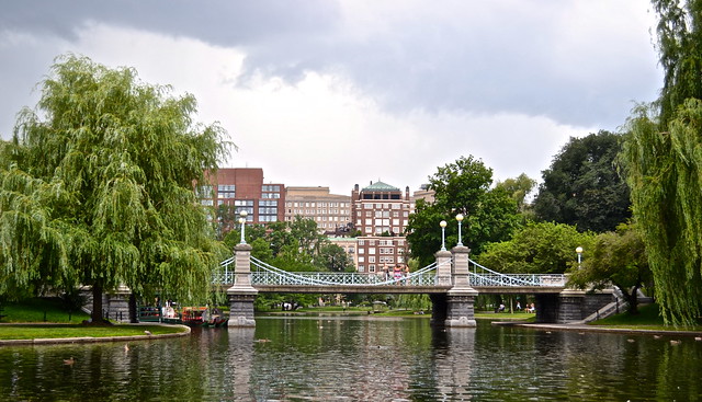 frog pond public garden - boston