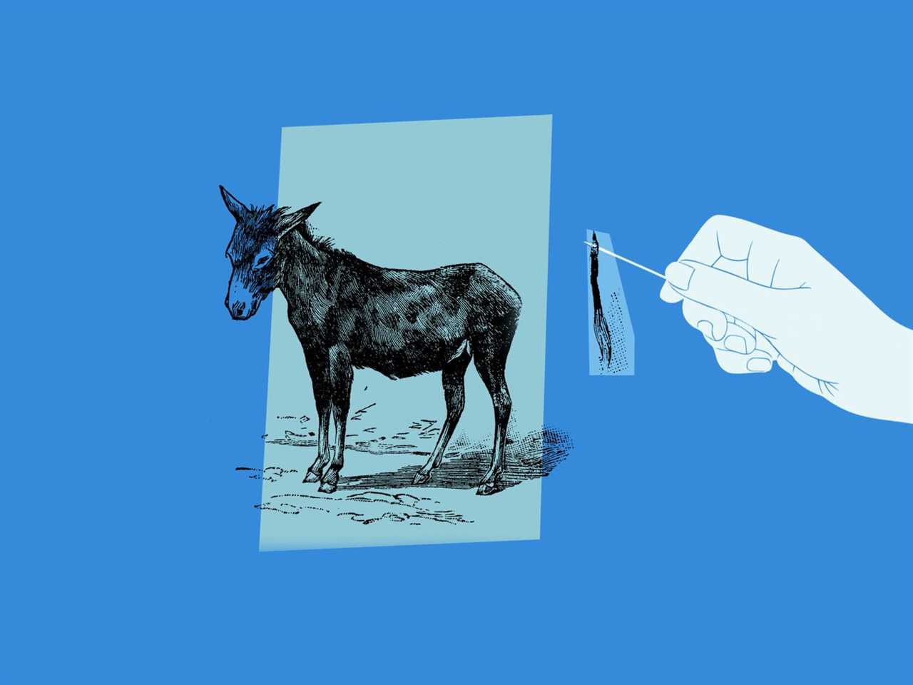 The case for Democratic optimism — and pessimism — in the midterms