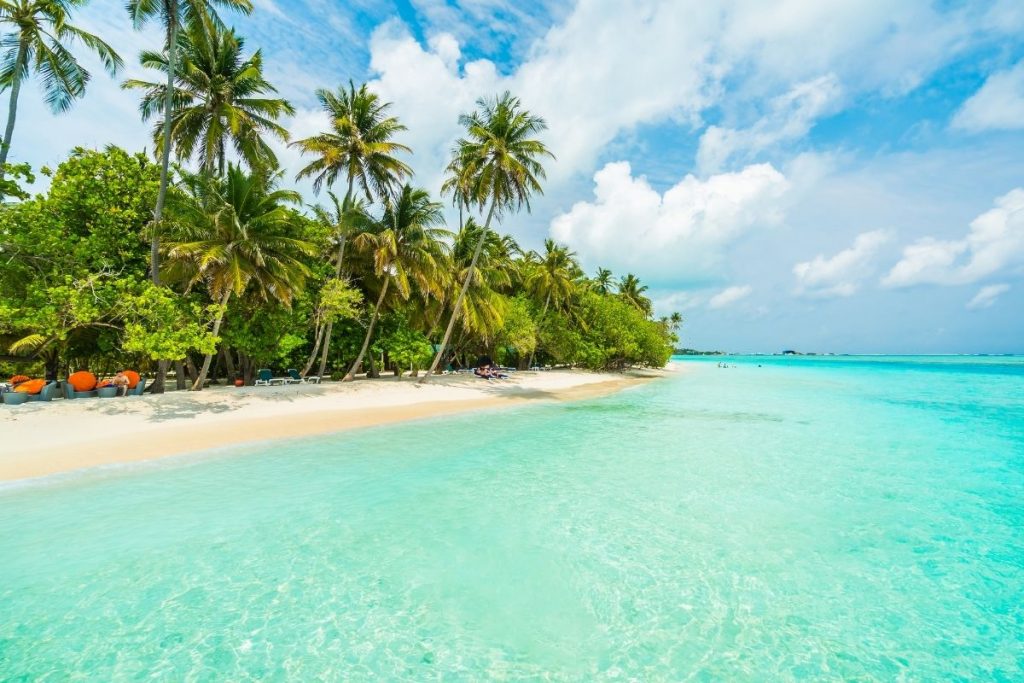 10 Best Dominican Republic Beaches to Visit in 2022 (+Seaweed Information)