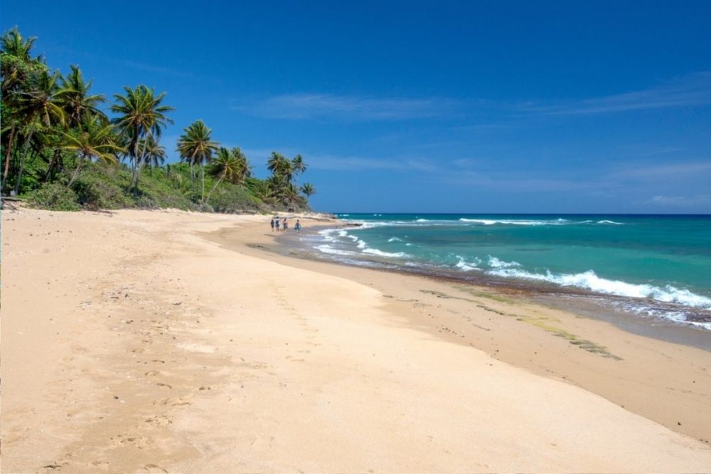 10 Best Dominican Republic Beaches to Visit in 2022 (+Seaweed Information)