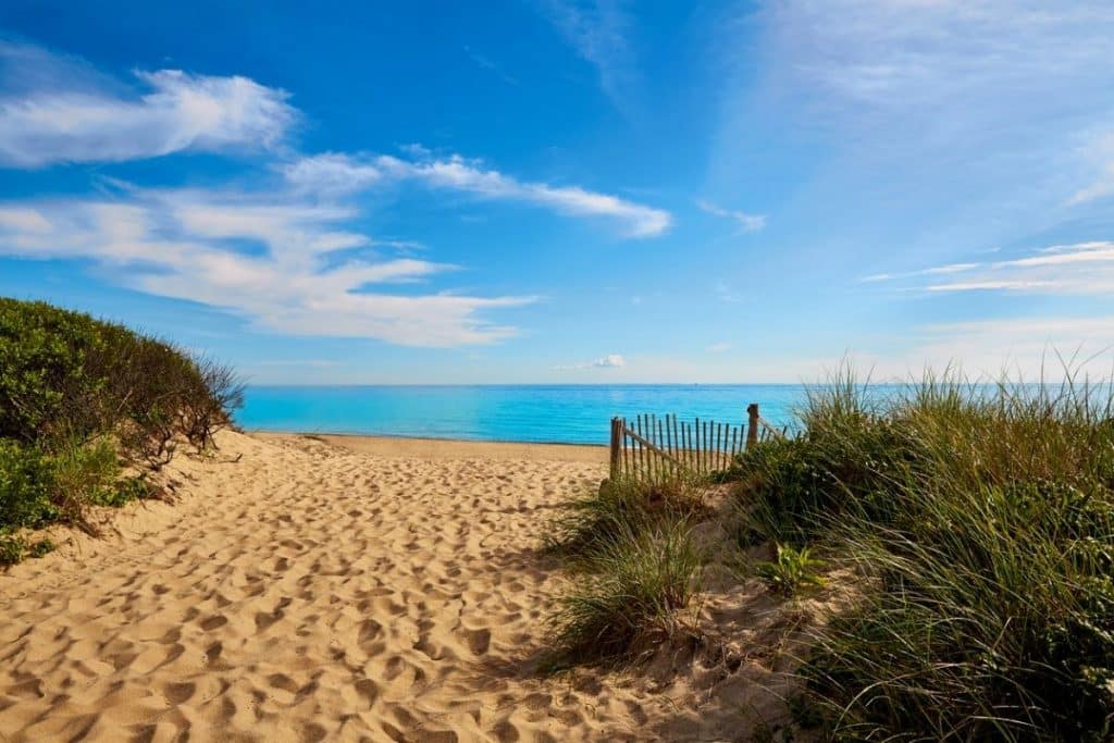 The 10 Best Massachusetts Beaches to Visit in September 2022