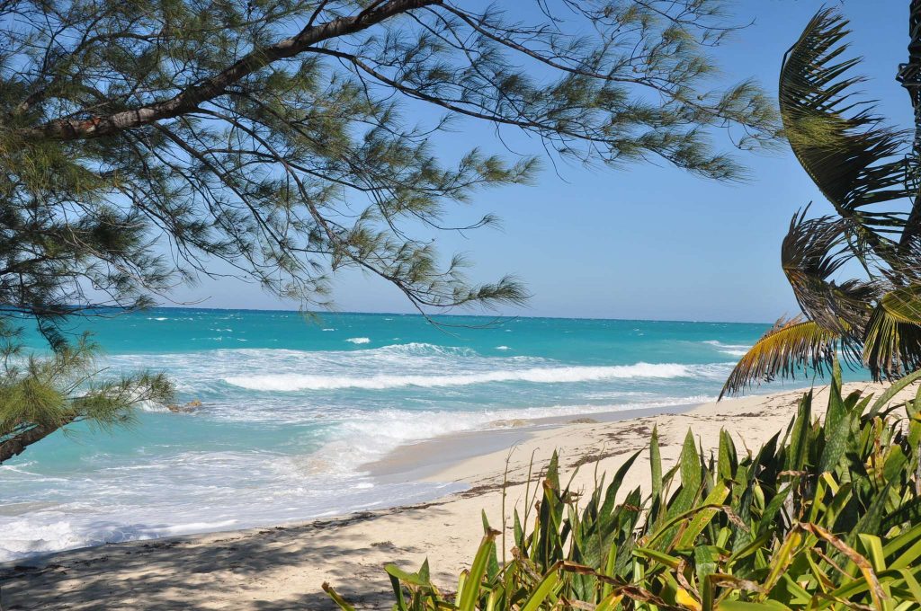 uncrowded beach in bimini the bahamas