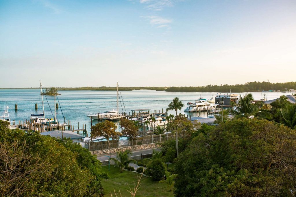 boats in a harbor in bimini islands