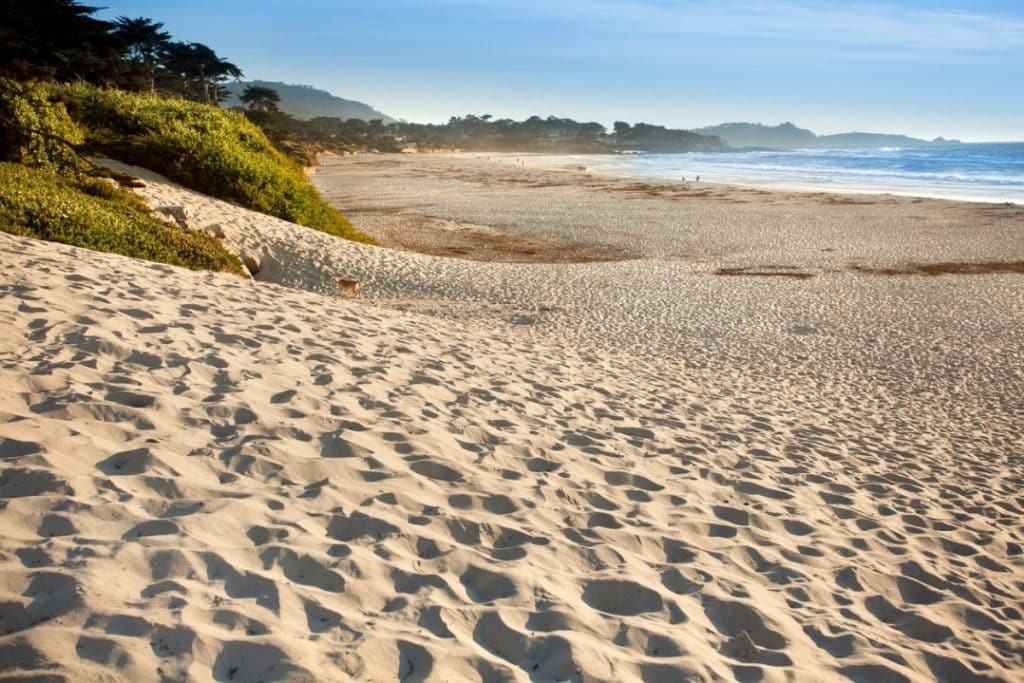 21 Best California Beaches to Visit in September 2022