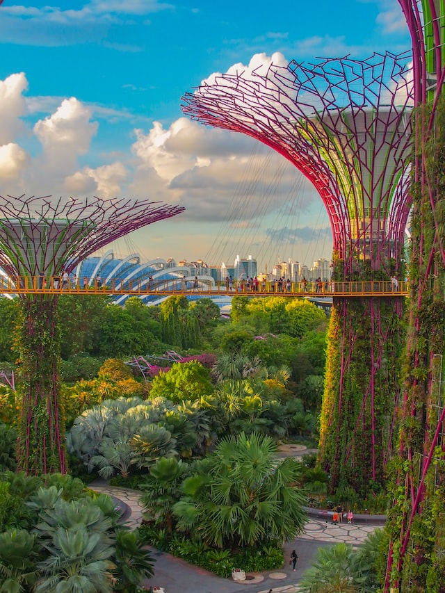 Five Family-Friendly Activities You Can Enjoy in Singapore