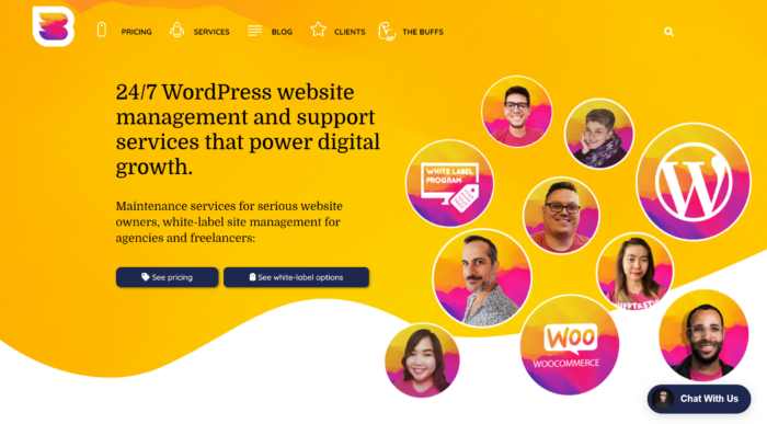 WP Buffs, great for site security, is an excellent WordPress management service.