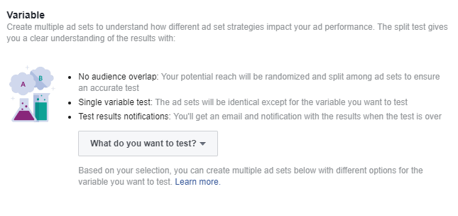 Choose which variables you want to test  when doing custom audience targeting on Facebook.