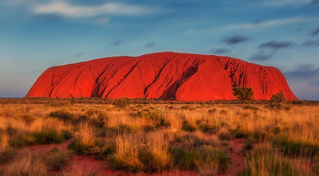 You must try Australian food and drink when you visit Australia