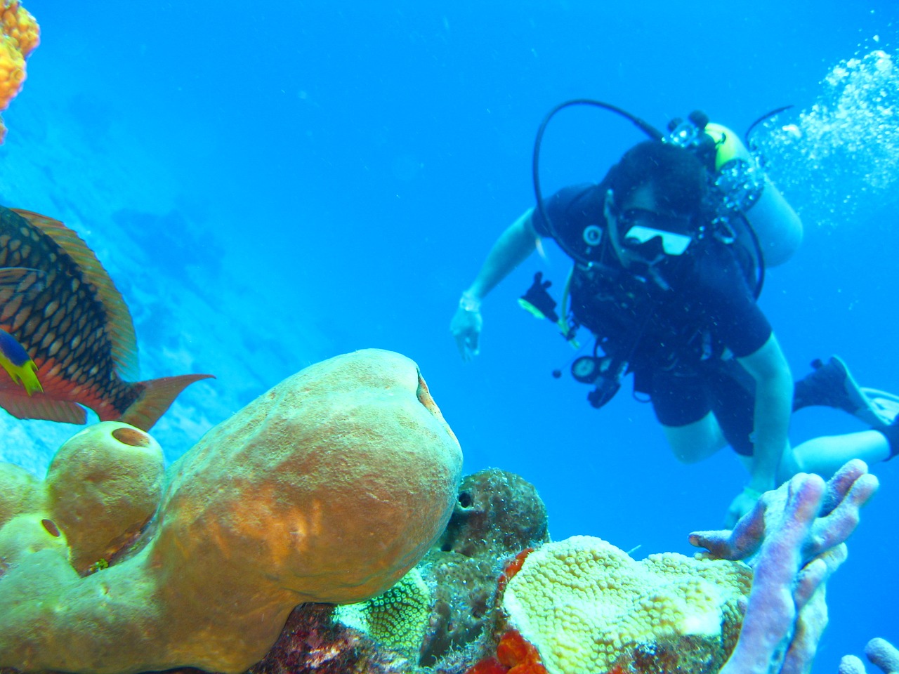 best places to scuba dive