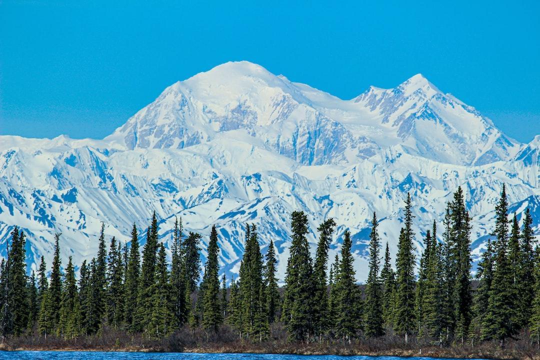 These are the 5 Best Alaskan Vacation Ideas