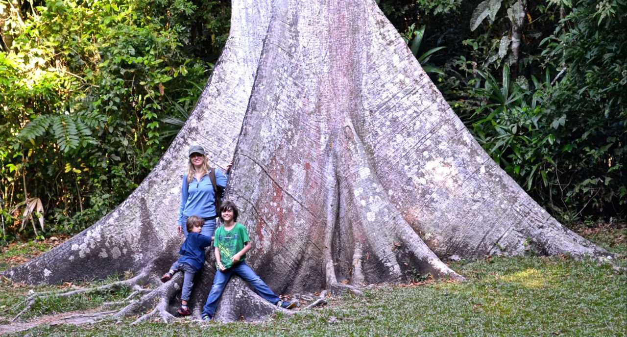 woman and kids at the base of a gigant tree in tikal national park