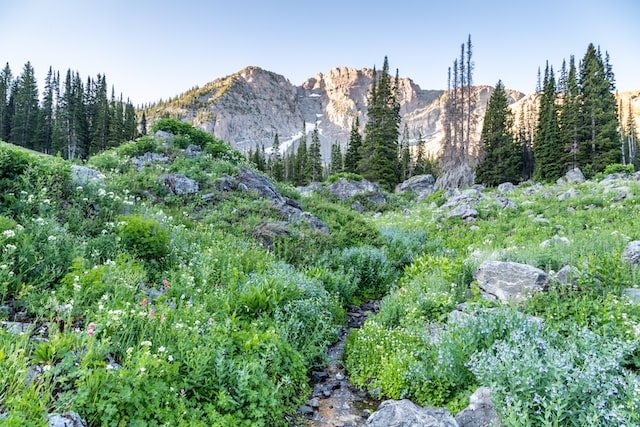 How to Travel Budget-Friendly in Alta, Utah