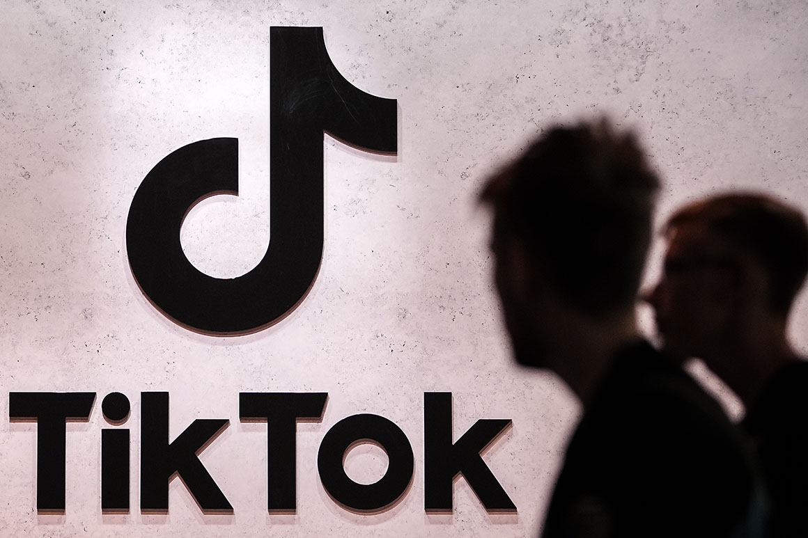  In Defense of TikTok