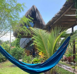 hammock and trees paredon el surf house