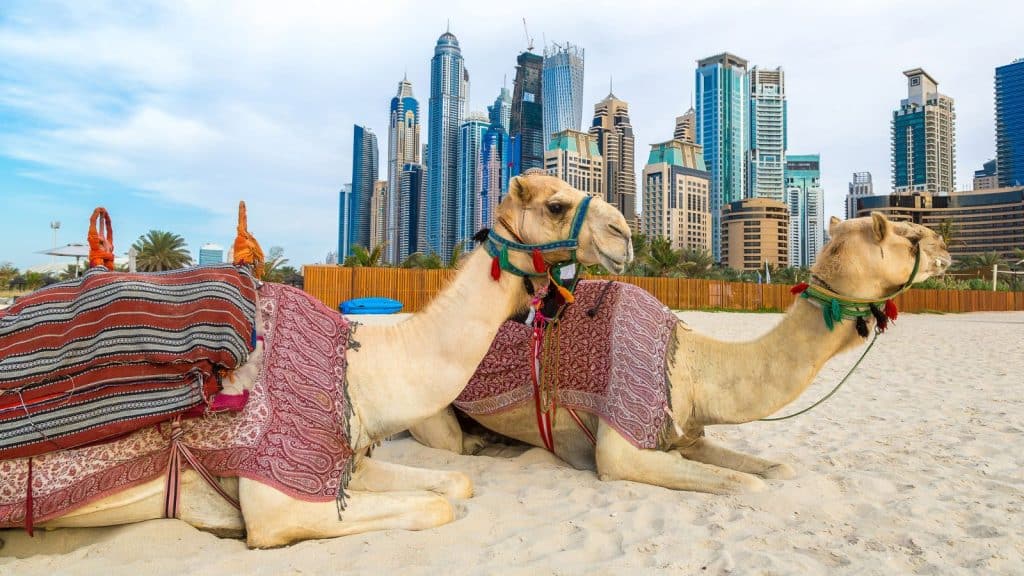 7 Best Beaches in DUBAI to Visit in December 2022