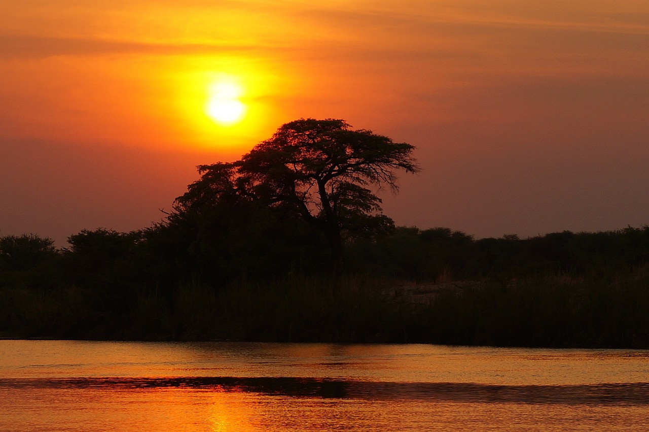 botswana safari