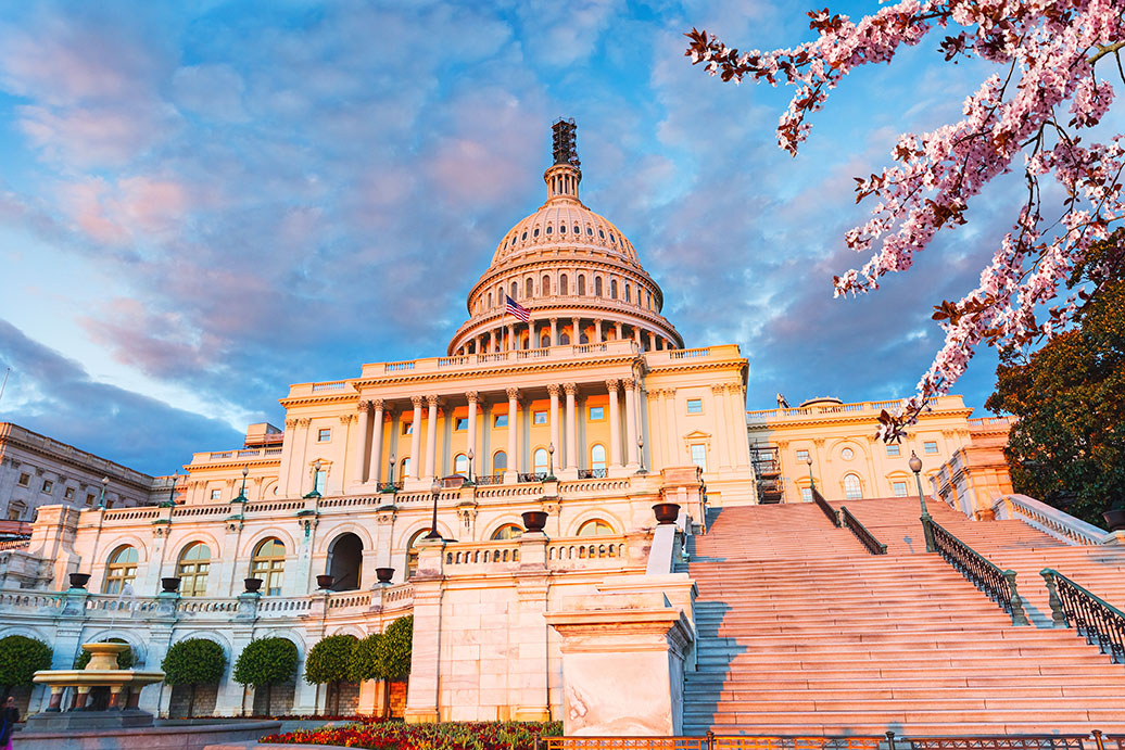 US Capitol in washington