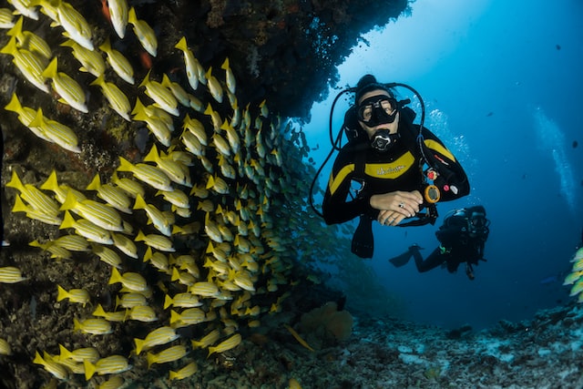 How to start a career in Bali with Scuba Diving