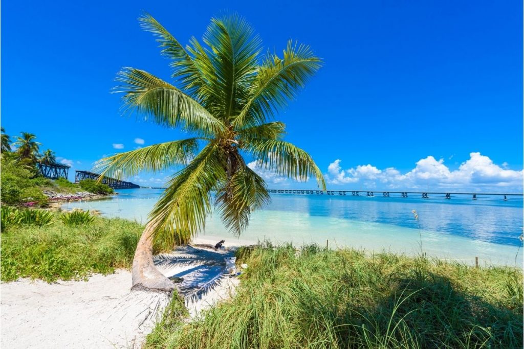 21 Places You Should Visit in FLORIDA, December 2022