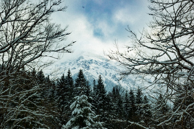 8 Things to Do in Gatlinburg's Snow-Capped Mountains