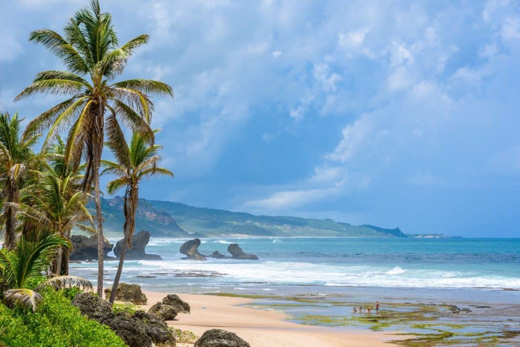 Bathsheba Beach