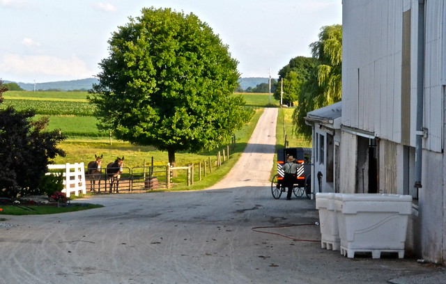 Countryside Lancaster County PA