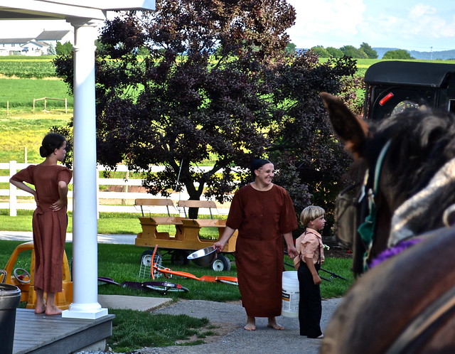 Amish Family Lancaster County