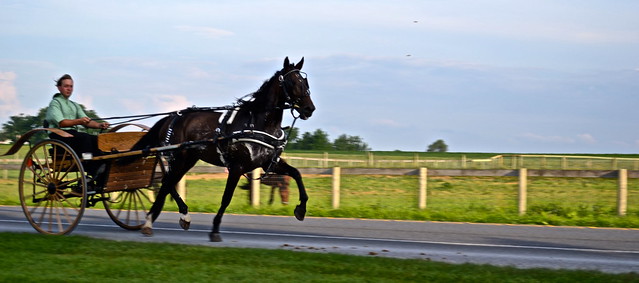 Amish guy Lancaster County PA