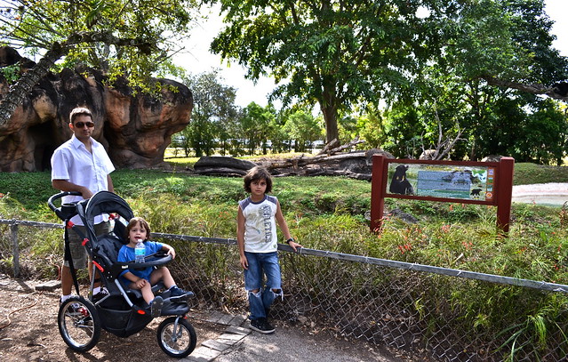 zoo attractions in miami florida