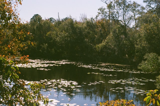 There are two botanical gardens in Florida that you should visit