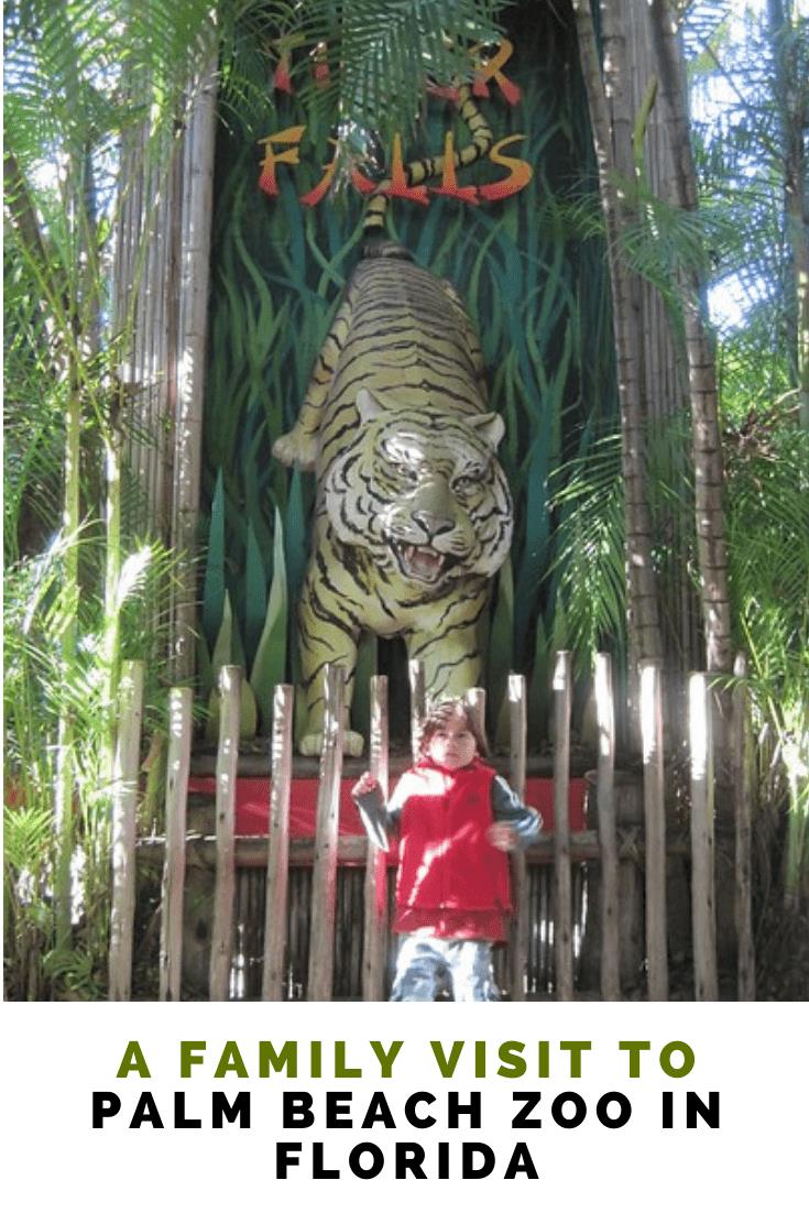 What to See and Do at Palm Beach Zoo in Florida