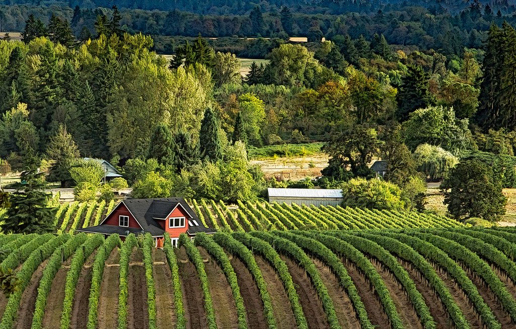 Explore Oregon - winery