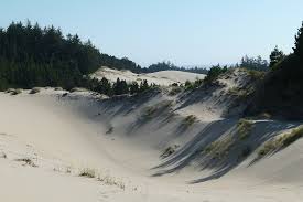 Explore Oregon - oregon dunes