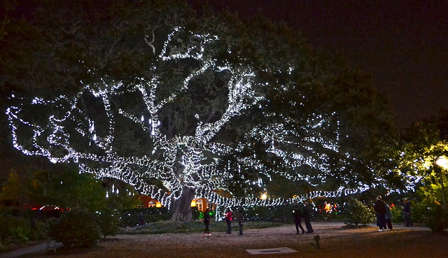 new orleans city park christmas in the oaks