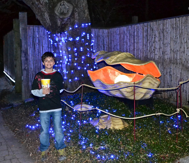 new orleans city park lights 