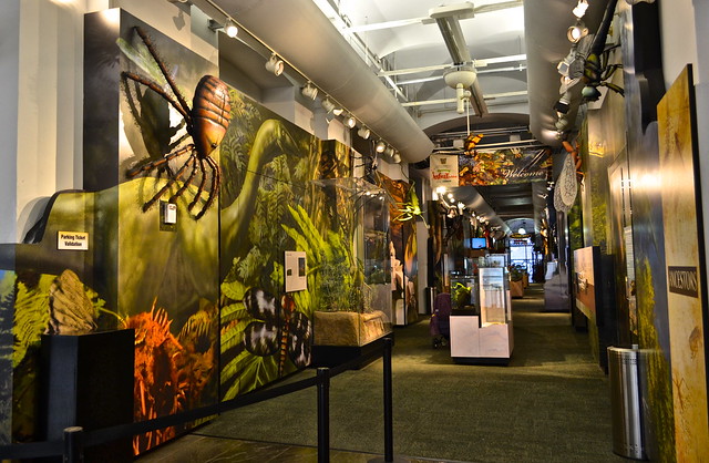 audubon insectarium e 