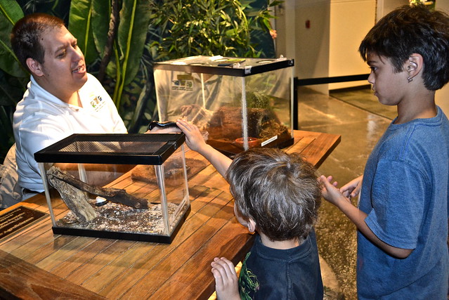 hands on experience audubon butterfly and insectarium 