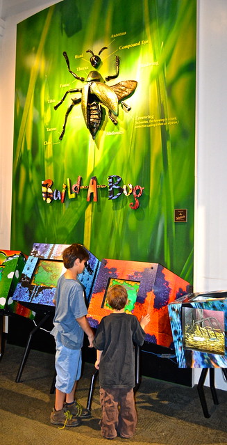 build a bug Audubon Insectarium e