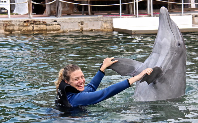 dancing with a dolphin at dolphin plus key largo 