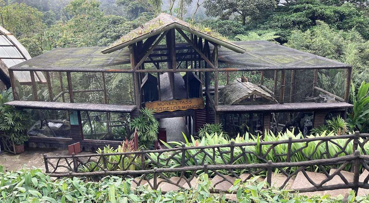 monkey rescue center peace odge costa rica