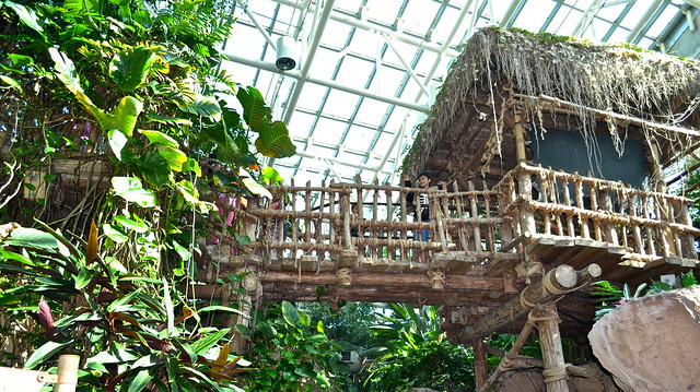 amazon exhibit at audubon aquarium of the americas new orleans 