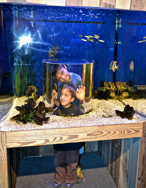 kids having fun at the aqurium of the americas 