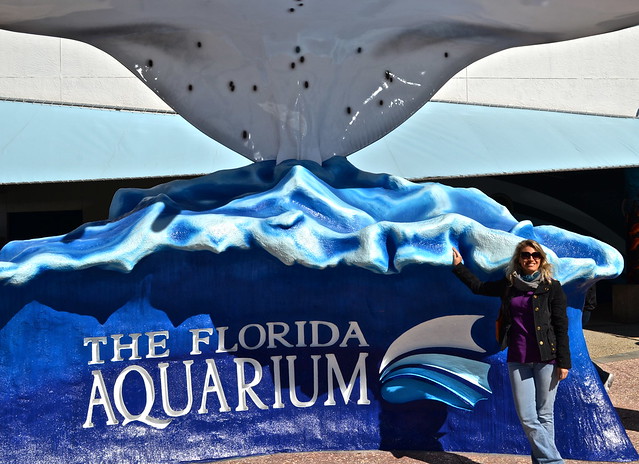 the florida aquarium at tampa florida