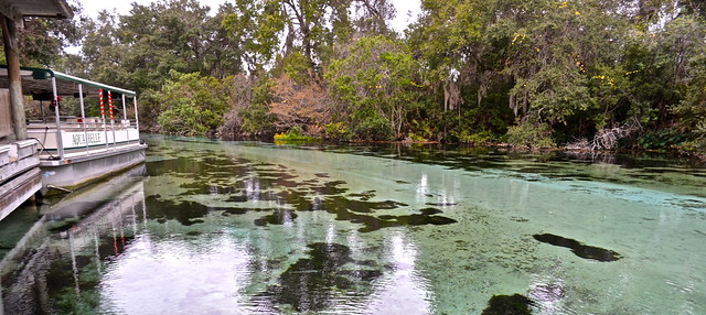 weeki wachee river cruise